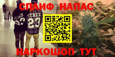 гидра Старая Купавна